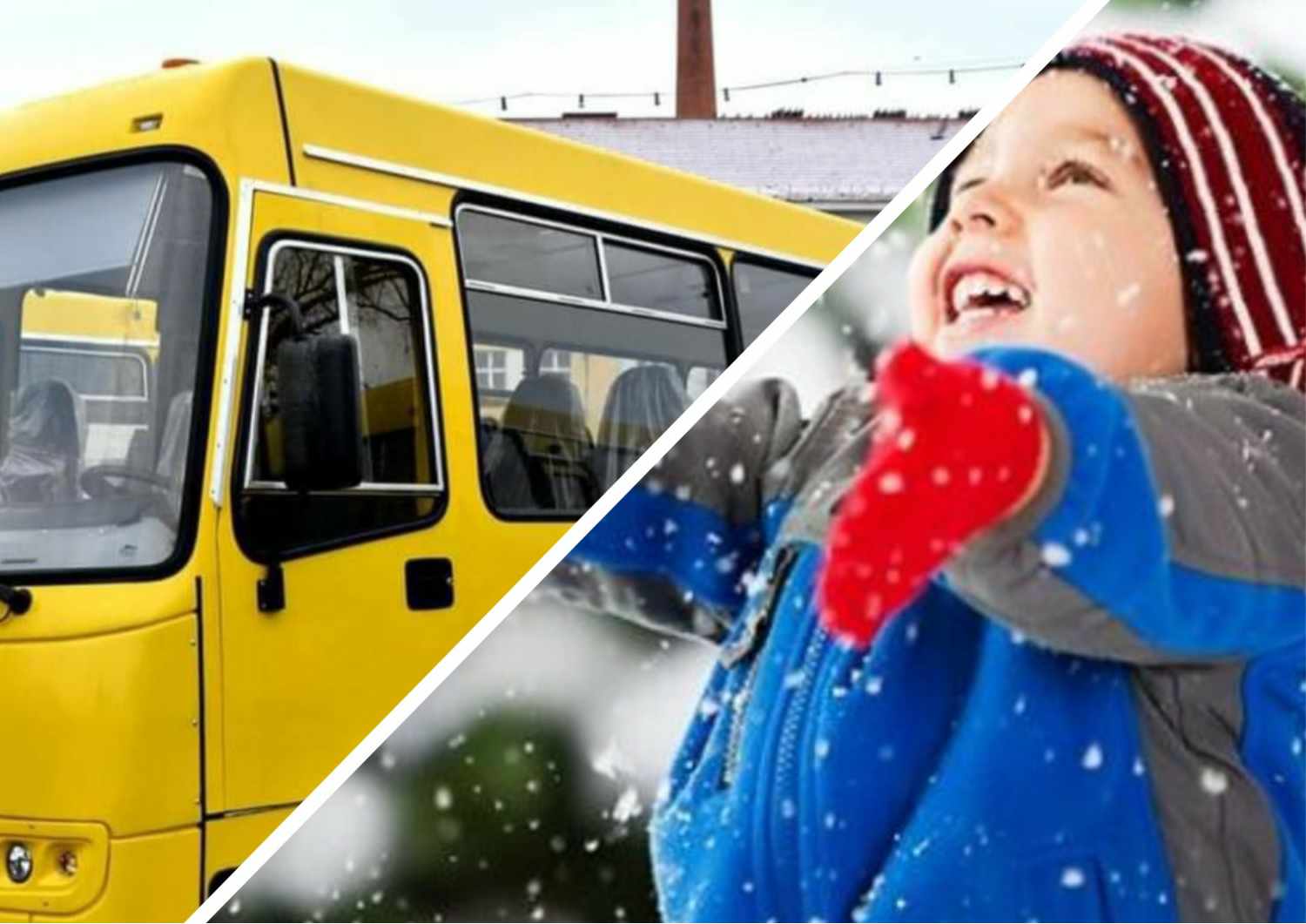 Новий автобус віднині возитиме школярів Перечинської ОТГ.