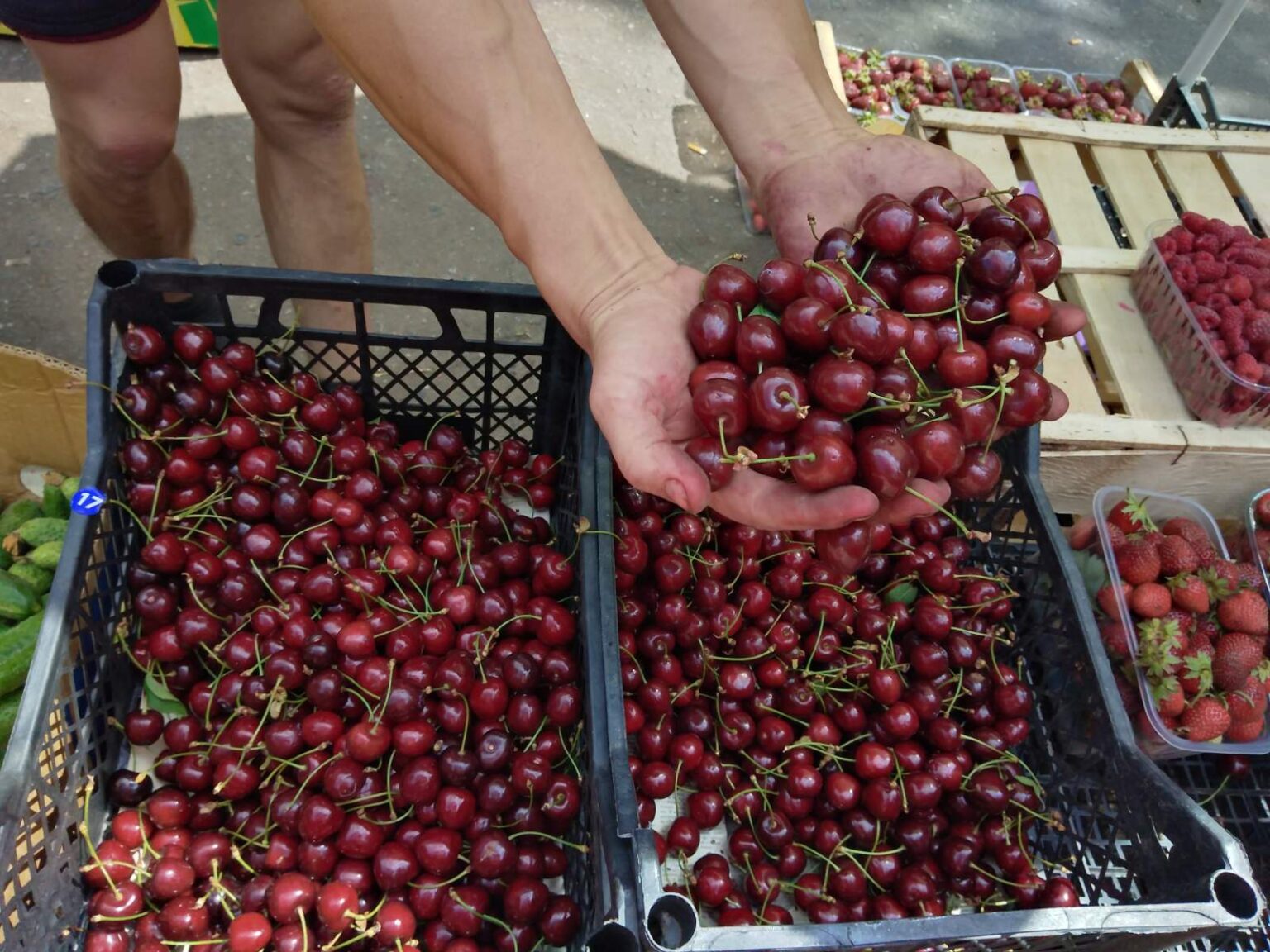 Закарпатцы покупают черешню по 3 кг: в регионе зафиксировано рекордное падение цен на сочные фрукты