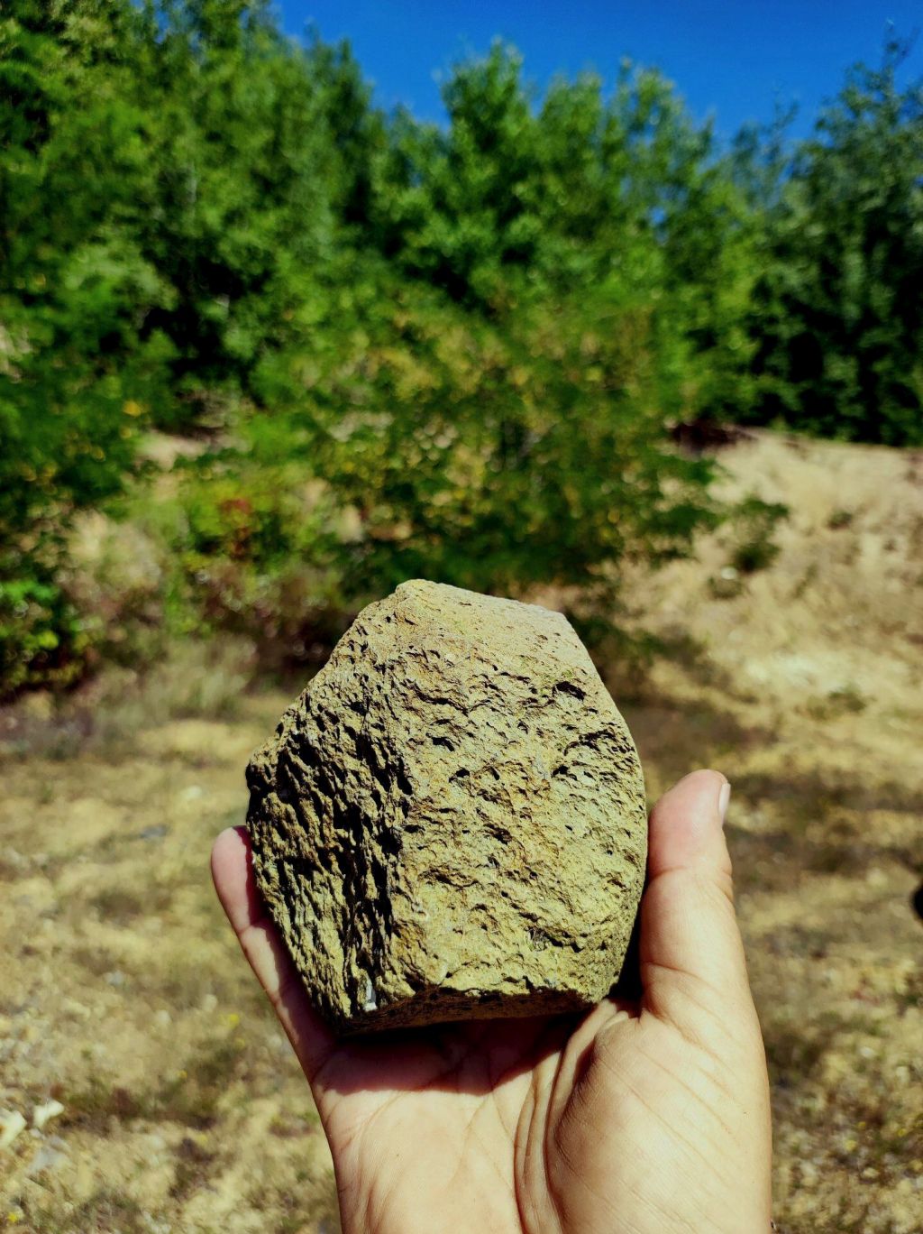 The Oldest Human Settlement In Europe Is Located In Transcarpathia 