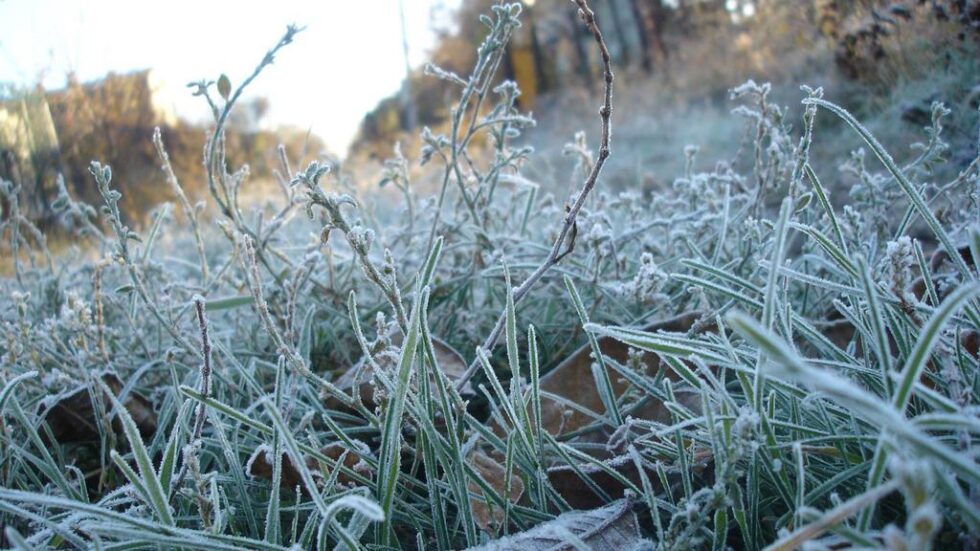 Україну скують нові заморозки: у яких областях буде найхолодніше