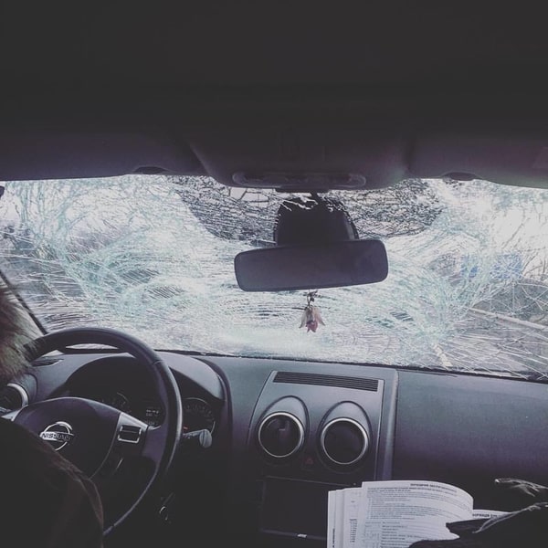 Во время поездки в Карпаты телеведущая сбила на своем автомобиле косулю, которая неожиданно выскочила на дорогу.
