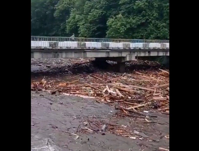 Як починається стихія: паводок на Рахівщині несе з собою деревину та сміття.