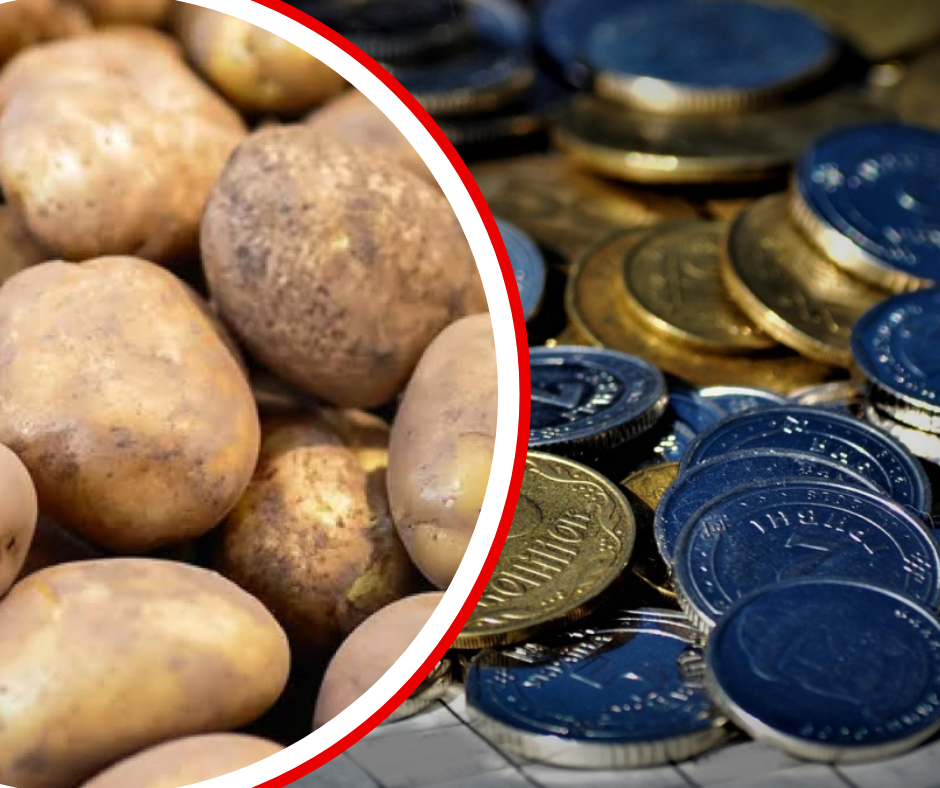 "Другий хліб" - дешевшає: ціни на новий врожай впали на 10% і продовжують танути!