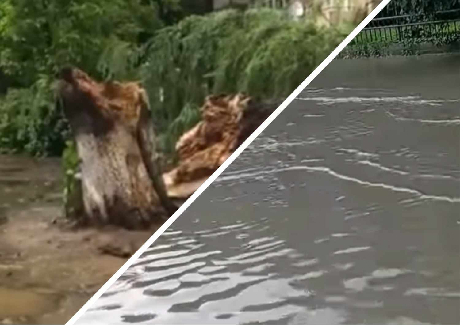 Бурелом й велика вода на Закарпатті: сила стихії, що пронеслась регіоном (ФОТО, ВІДЕО)