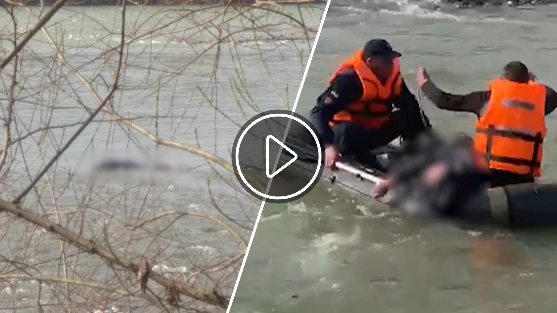 In Transcarpathia, the body of a young man was pulled out of the Tisza (VIDEO)