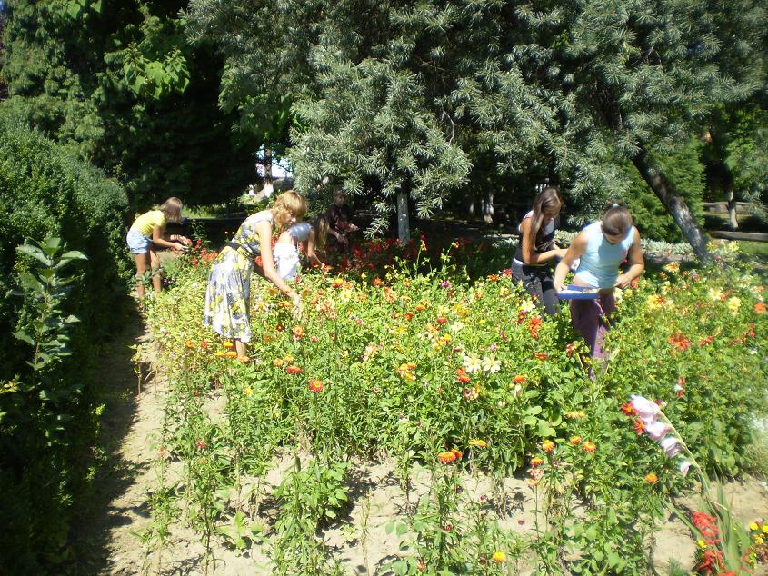 Позашкільну освіту пропонують оплачувати повністю за рахунок батьків