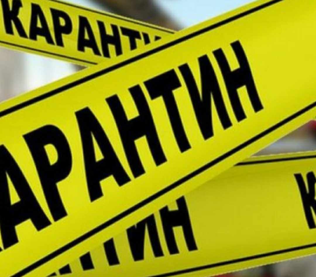 Небезпека в освітньому закладі Закарпаття: що загрожує учням однієї з громад?