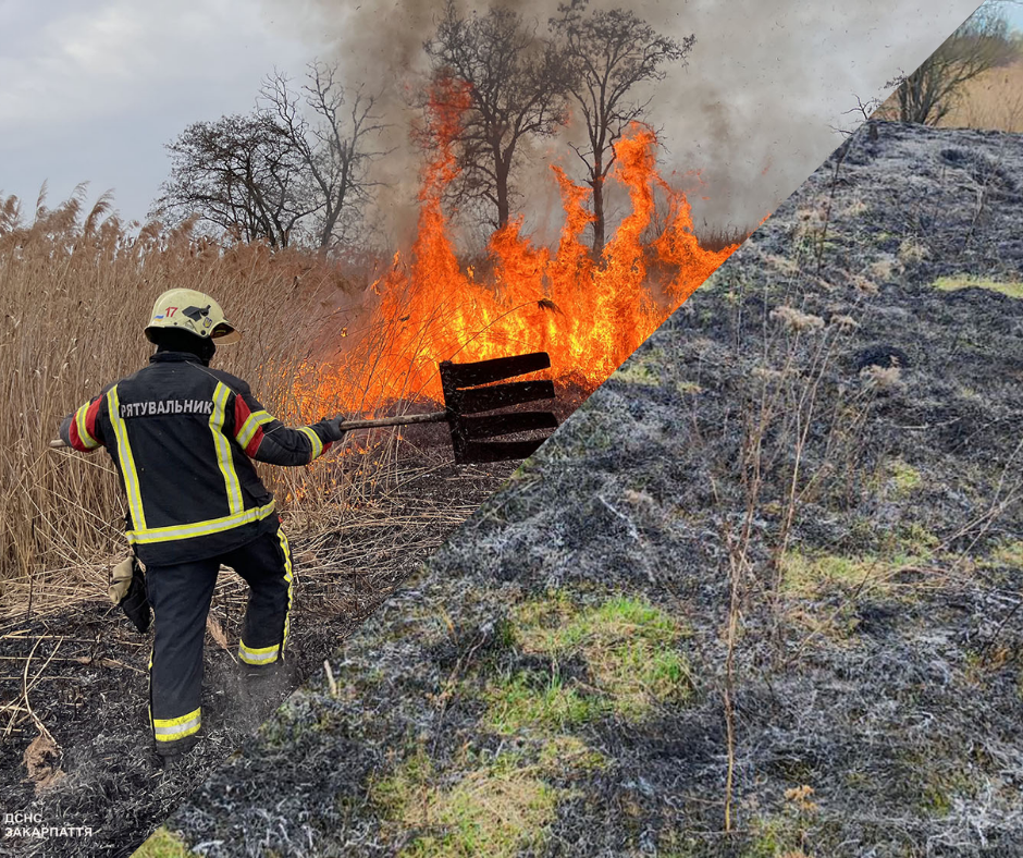 "Ситуація явно вийшла з-під контролю": закарпатські рятувальники показали наслідки пожеж в області (ФОТО)