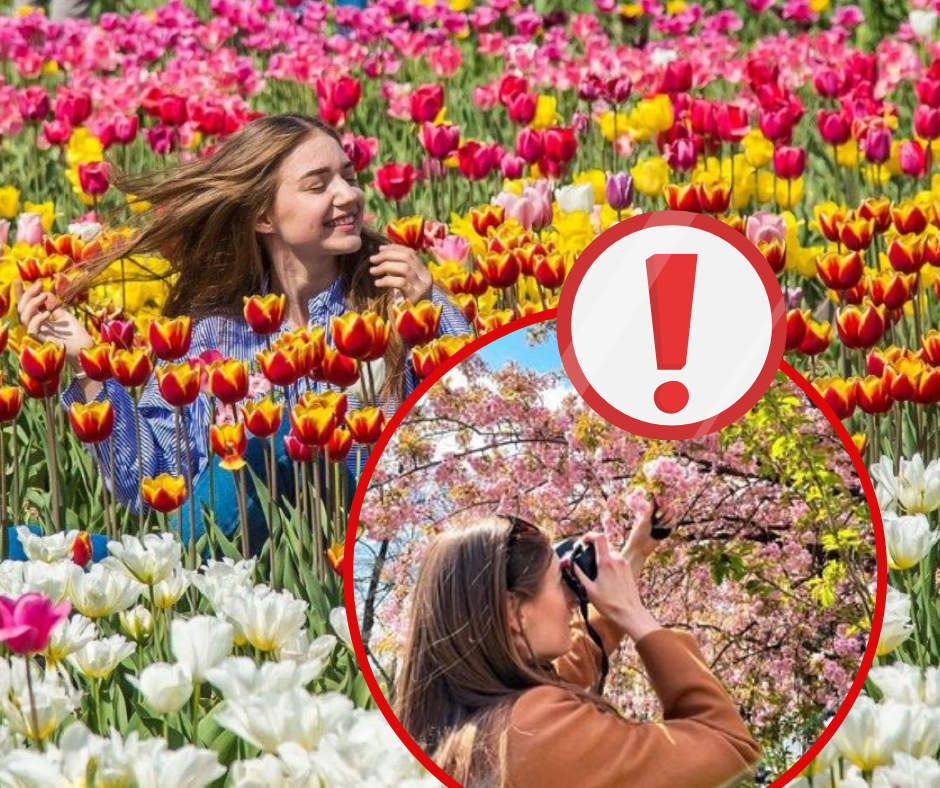 Ідеї для душі та Instagram: ТОП-5 локацій, які весною квітнуть як у казці. Куди поїхати у травні 2025 року? (ФОТО)