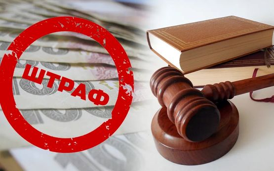 На Закарпатті мати двох дітей вкрала з «Епіцентру» техніку та гігієну на 1 785 гривень - що вирішив суд