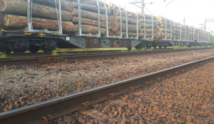 На Закарпатській митниці ДФС зупинили шість вагони із деревиною ДП «Сарненське лісове господарство» та «Володимирецьке лісове господарство».