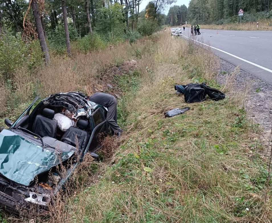 Раптово вибігла на дорогу: 46-річний водій загинув після зіткнення з коровою