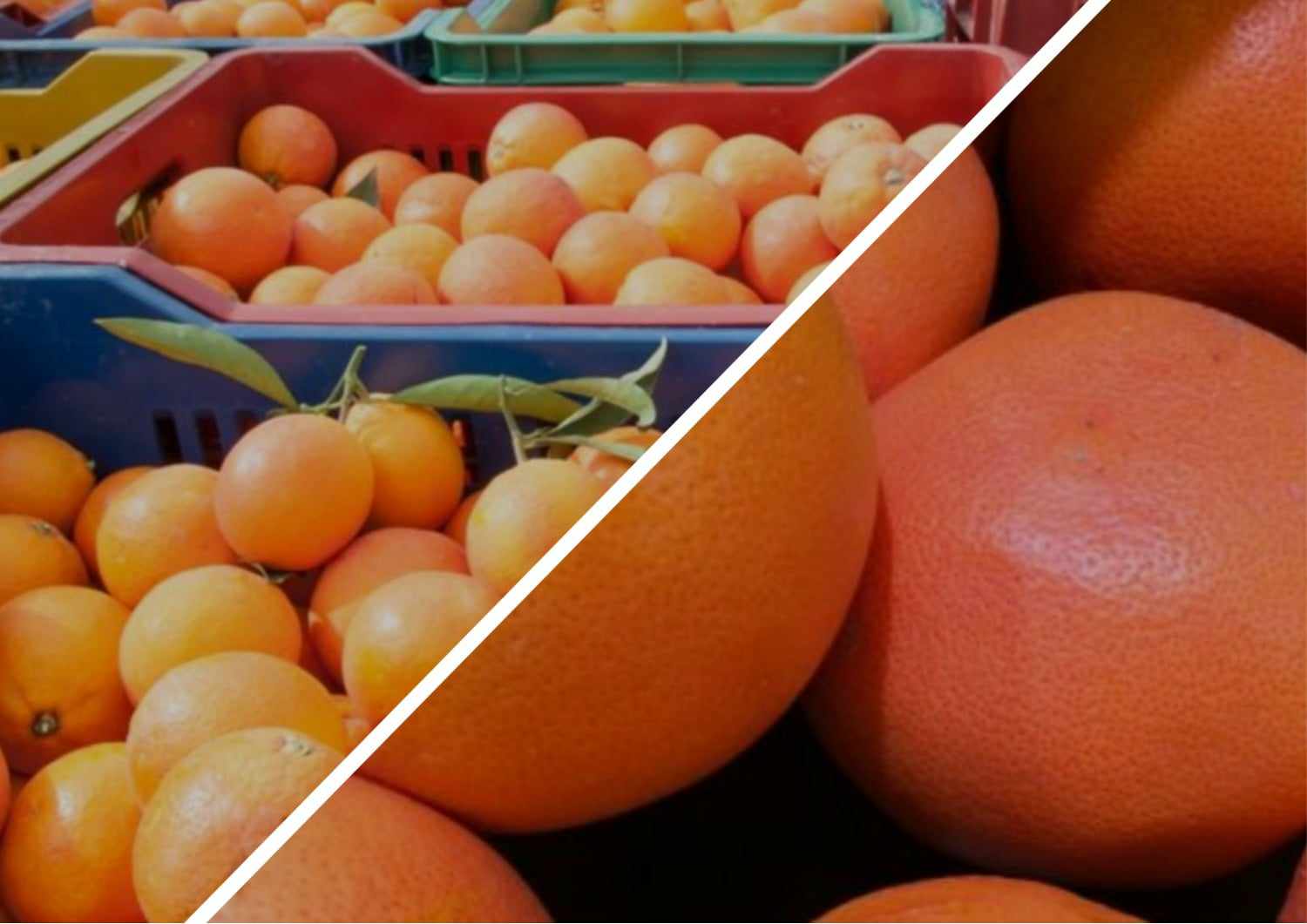 Ринки області рясніють фруктовим імпортом.