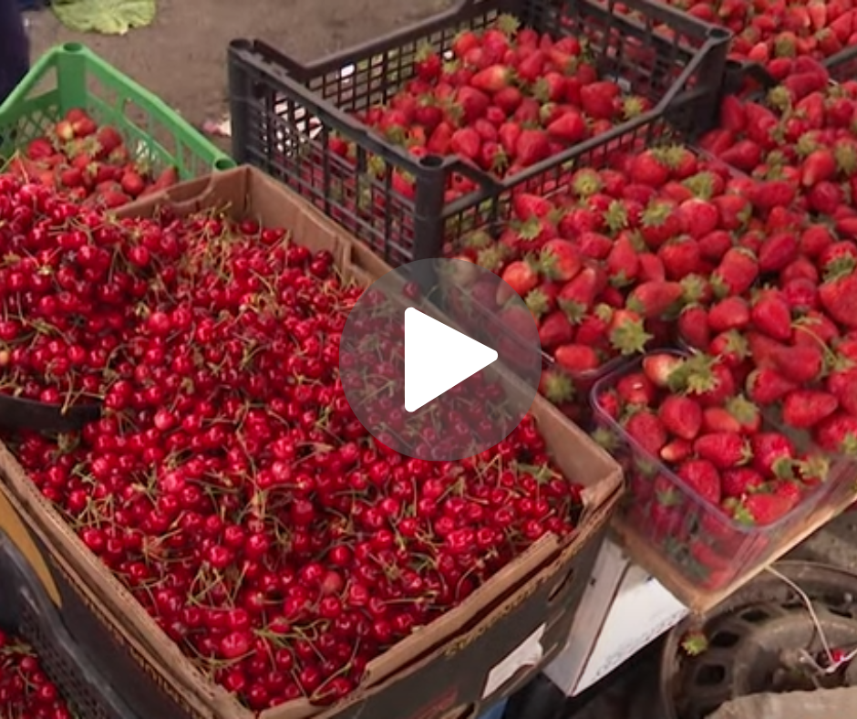 На ринках Закарпаття з'явилися перші сезонні ягоди: відомо скільки коштує полуниця та черешня (ВІДЕО)