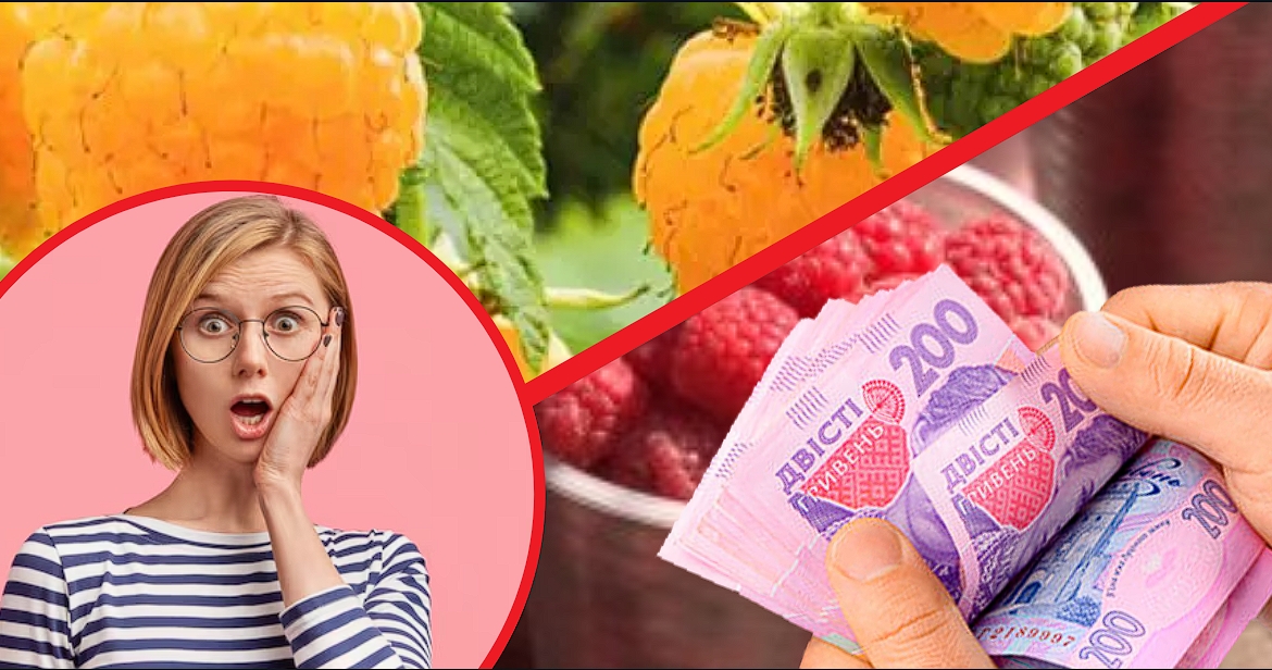 “Космічні” ціни на ягоду для обраних: червневі ціни на малину та невтішні прогнози на цей сезон