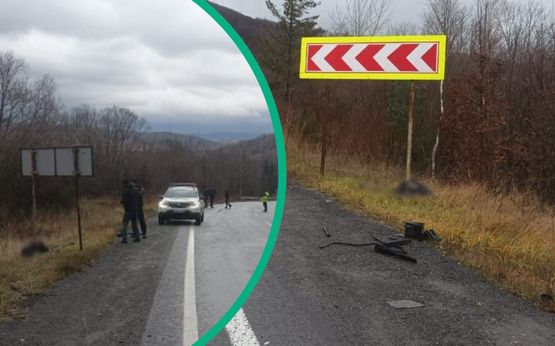Трагічний наїзд і втеча: закарпатець збив жінку у Воловці та сховався у Львівській області (ФОТО)
