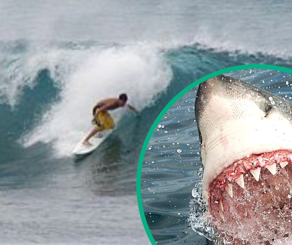 Підліток став жертвою нападу акули на узбережжі курорту і популярного місця для серфінгу в Південній Австралії.