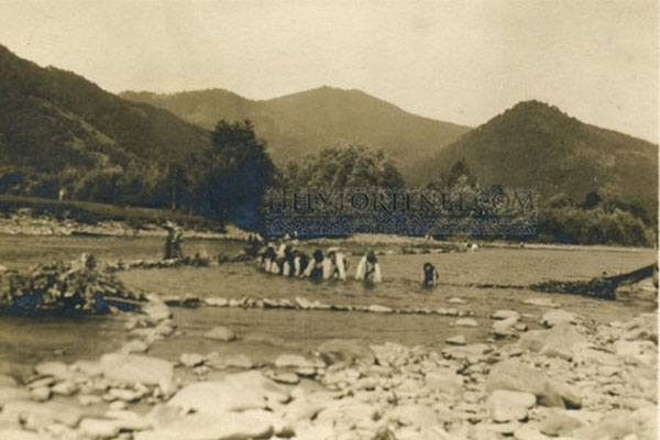 На цій поштівці 1915 року можна побачити, як місцеві рибалки («рибарі») руками ловили дунайського лосося, або головатицю, на ріці Тересва.