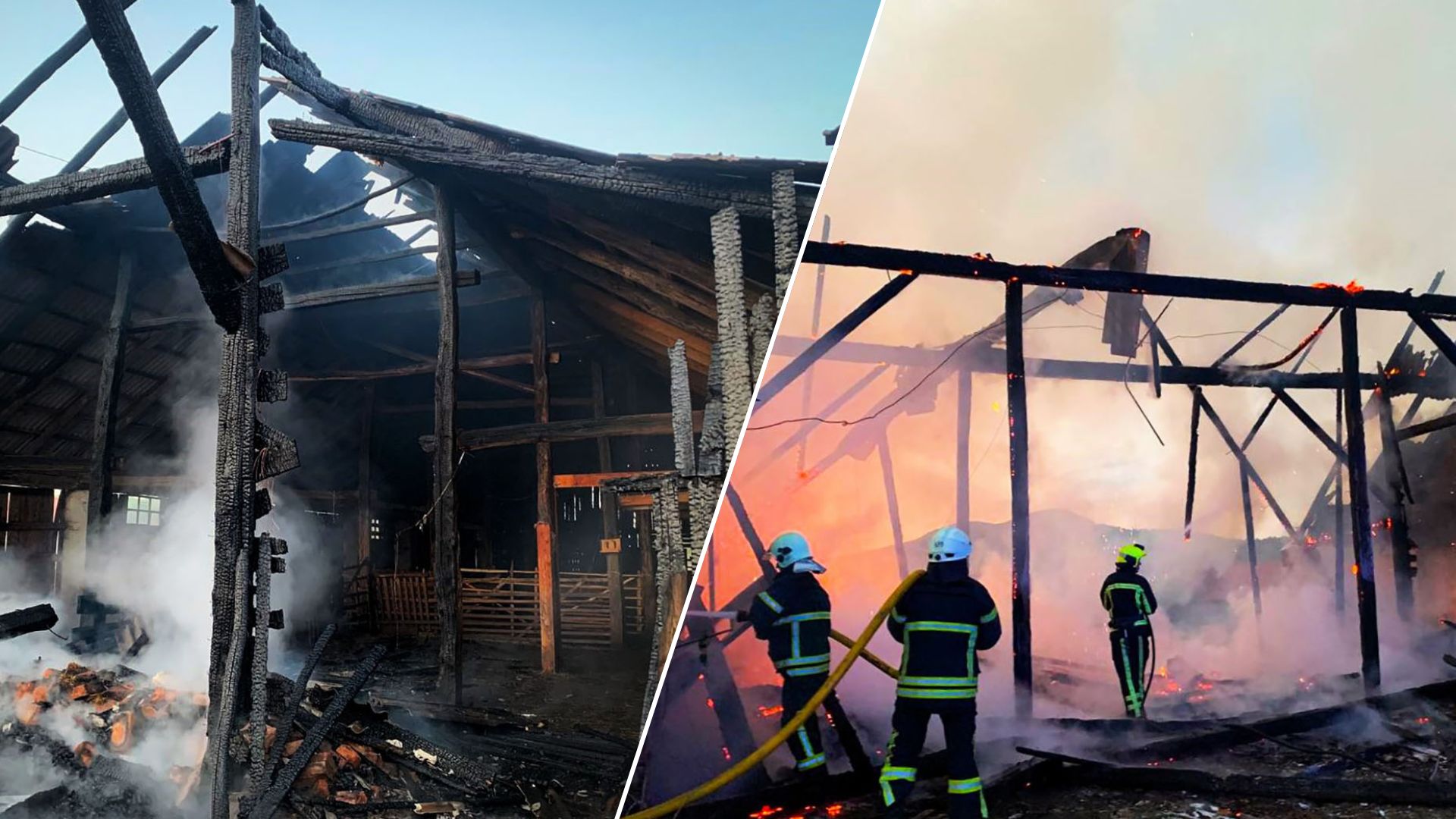 На Закарпатті спалахнула пожежа на господарстві: вогонь охопив будівлю з худобою всередині (ФОТО)