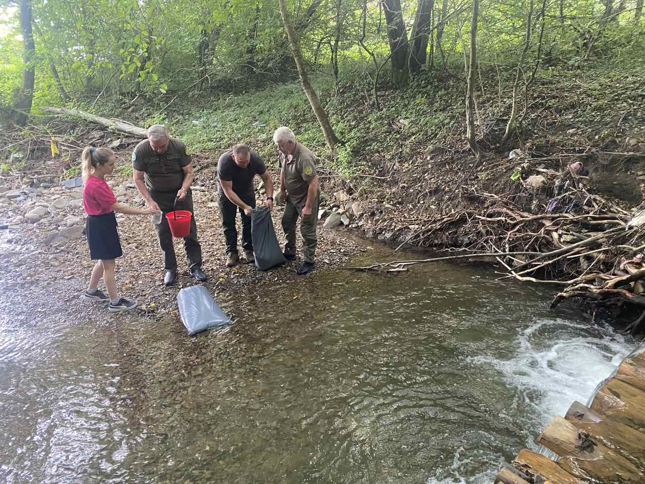 Закарпатські водойми вперше зарибили червонокнижним харіусом європейським (ФОТО)