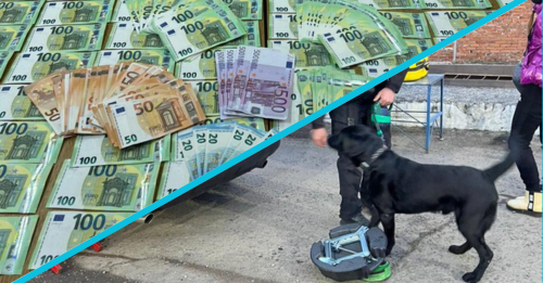 Пес винюхав 90 тисяч євро, які були “приховані” в сумках.