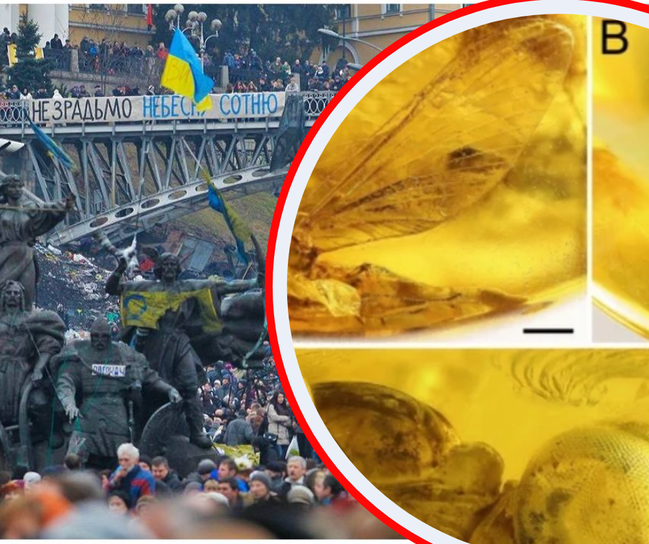 "Небесна сотня" - ожила: українські науковці виявили унікальну знахідку, яка шокувала суспільство