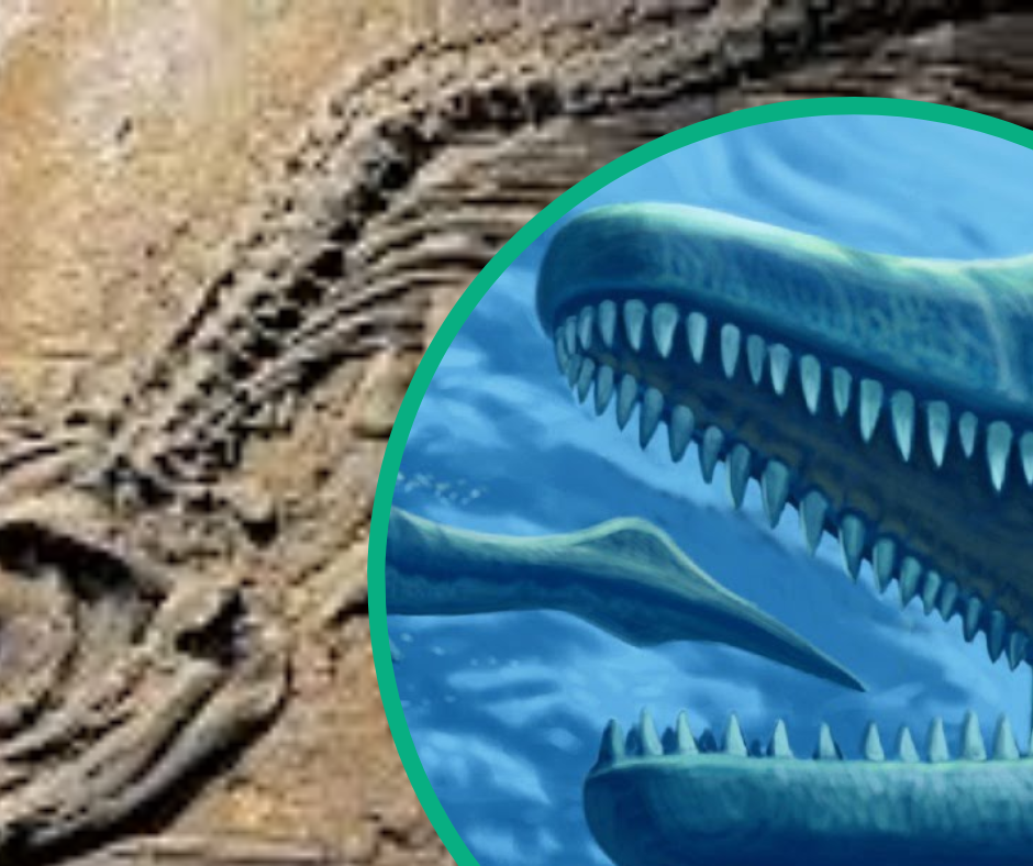Дослідники назвали морського монстра Ichthyotitan severnensis.
