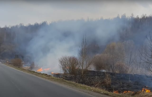 "Димова завіса": поблизу дороги на Ужгородщині підпалили поле (ВІДЕО)