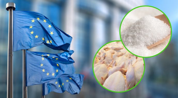Нові квоти на експорт: як Україна обмежує постачання цукру та м’яса до ЄС