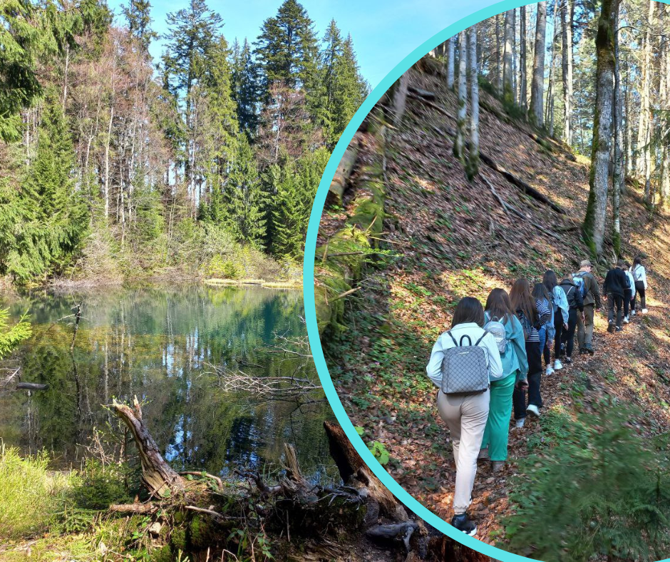 Ученики Колочавской школы объединились, чтобы очистить Дикое озеро.