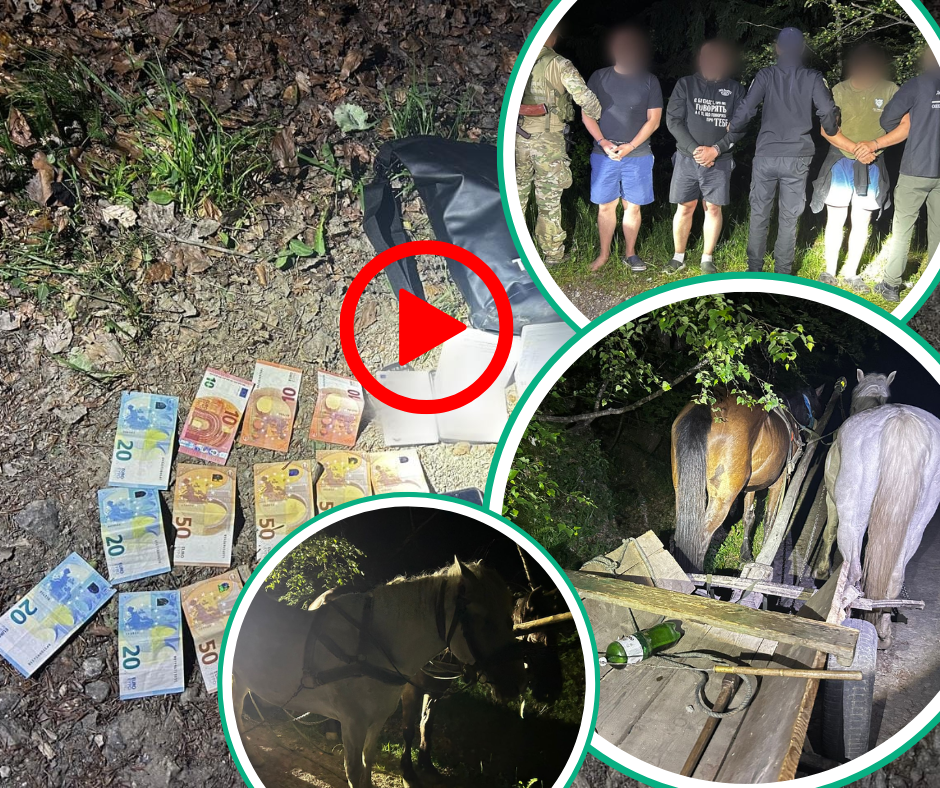 Прикордонники затримали волинян, які збиралися за допомогою закарпатського провідника незаконно перетинати кордон (ВІДЕО/ФОТО)