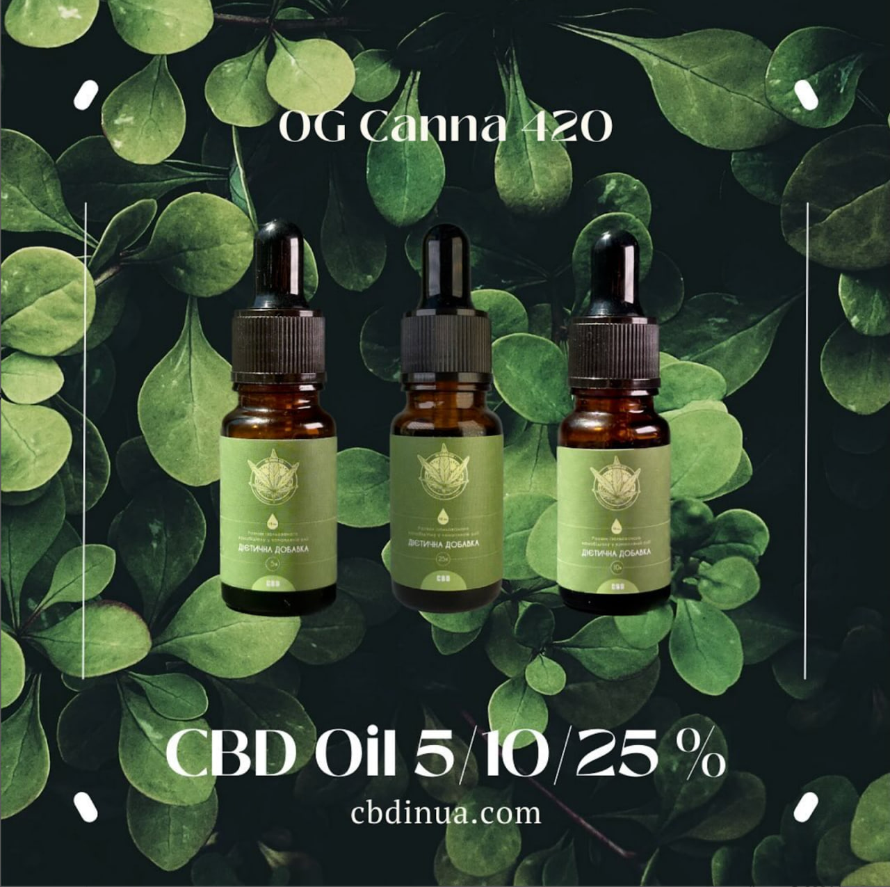 CBD масло: как выбрать и где купить CBD масло?