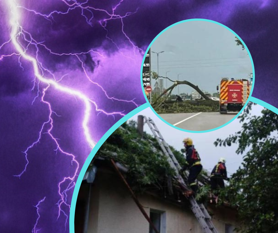 Смертоносная гроза на Закарпатье: сильный шторм наделал беды (ФОТО)