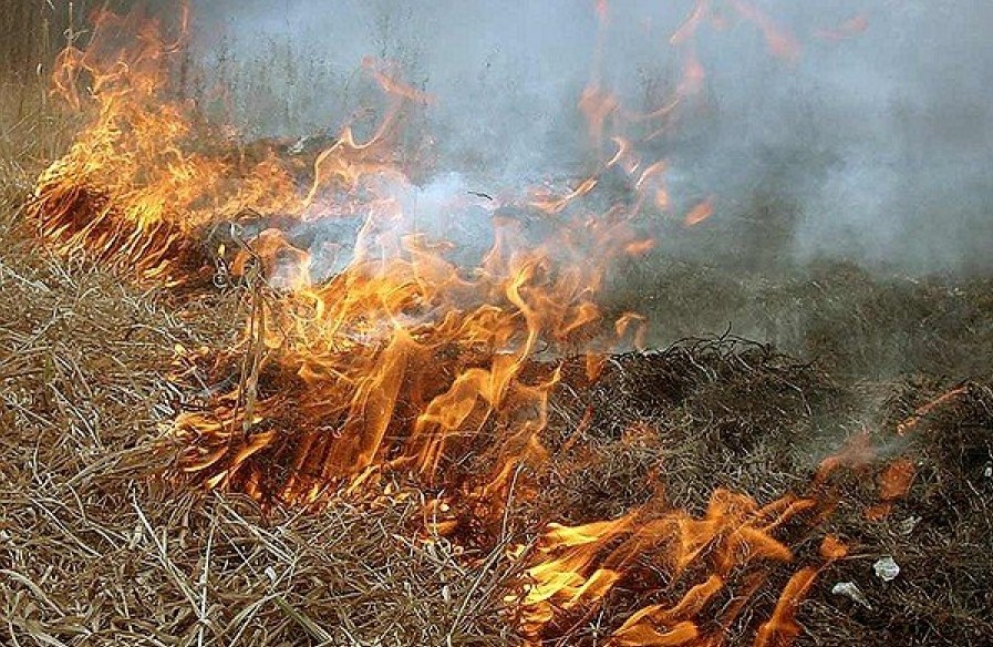Возгорание сухой травы и кустарника произошло на набережной, напротив Генеральной прокуратуры Украины