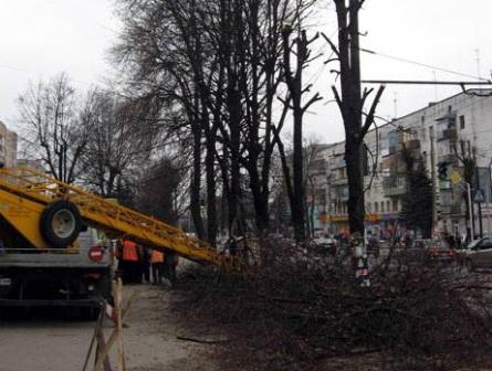 15 та 19 лютого не працюватимуть світлофори на перехресті вулиць Капушанської-Баб'яка та проспекту Свободи-Капушанської.