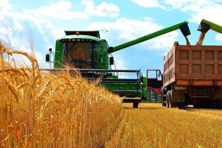 У профільному департаменті Закарпатської ОВА кажуть, що врожай в області буде на рівні минулого року. 