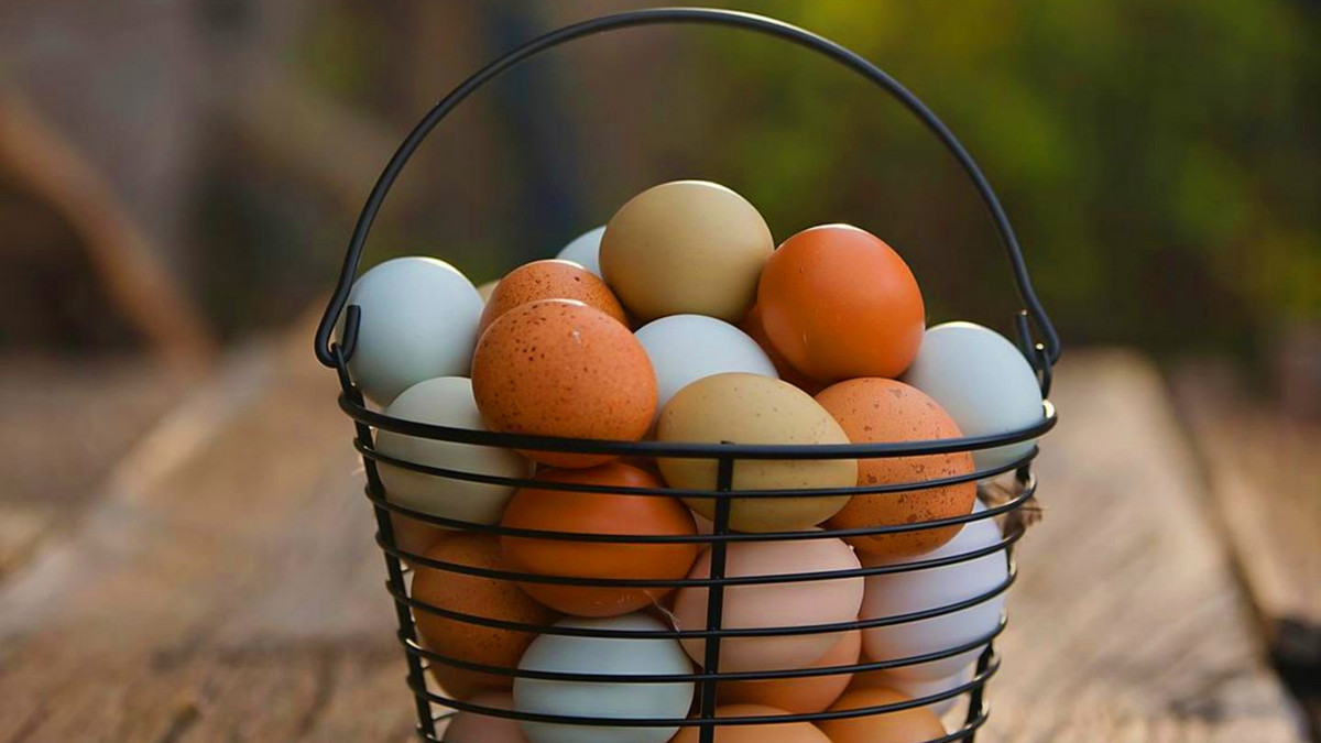 В Україні рекордно подорожчали яйця. Вартість десятка в одній із торгових мереж досягла максимуму та перевищила 80 грн. 