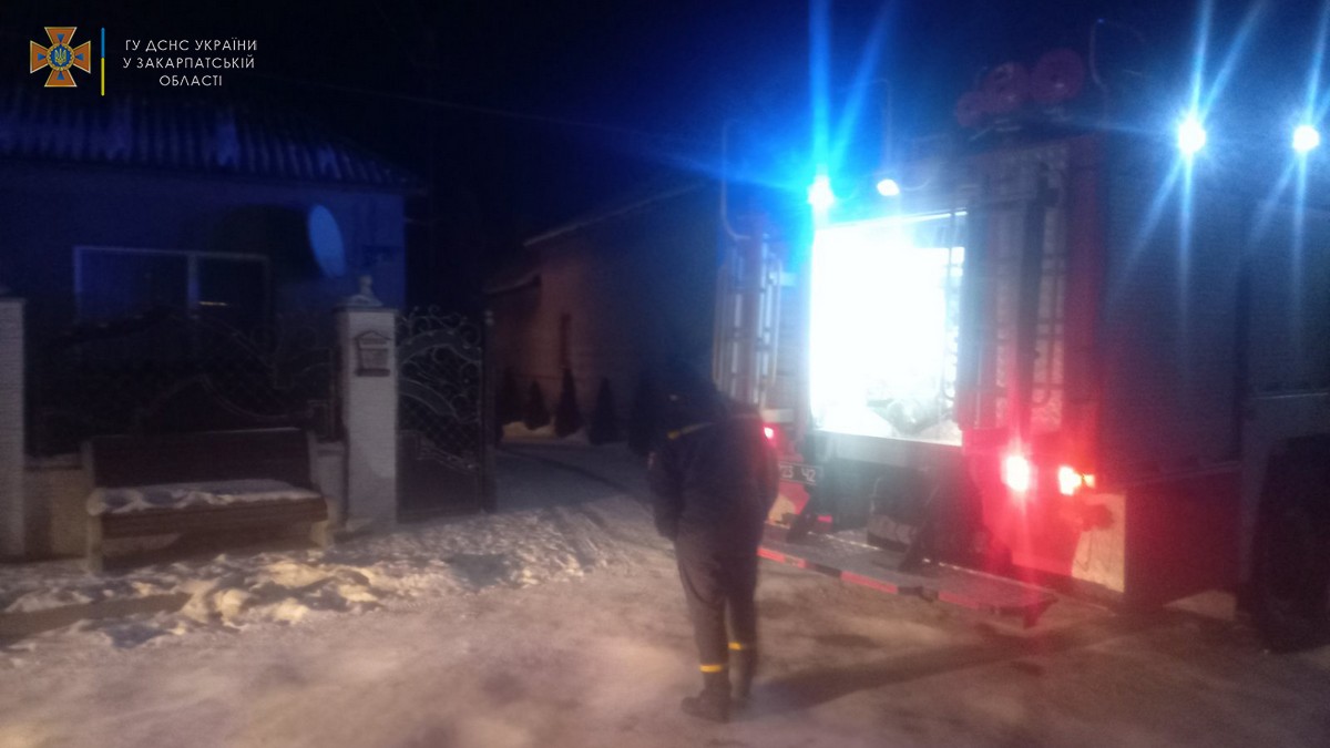 У Берегівському районі рятувальники ліквідували пожежу на території приватного господарства.

