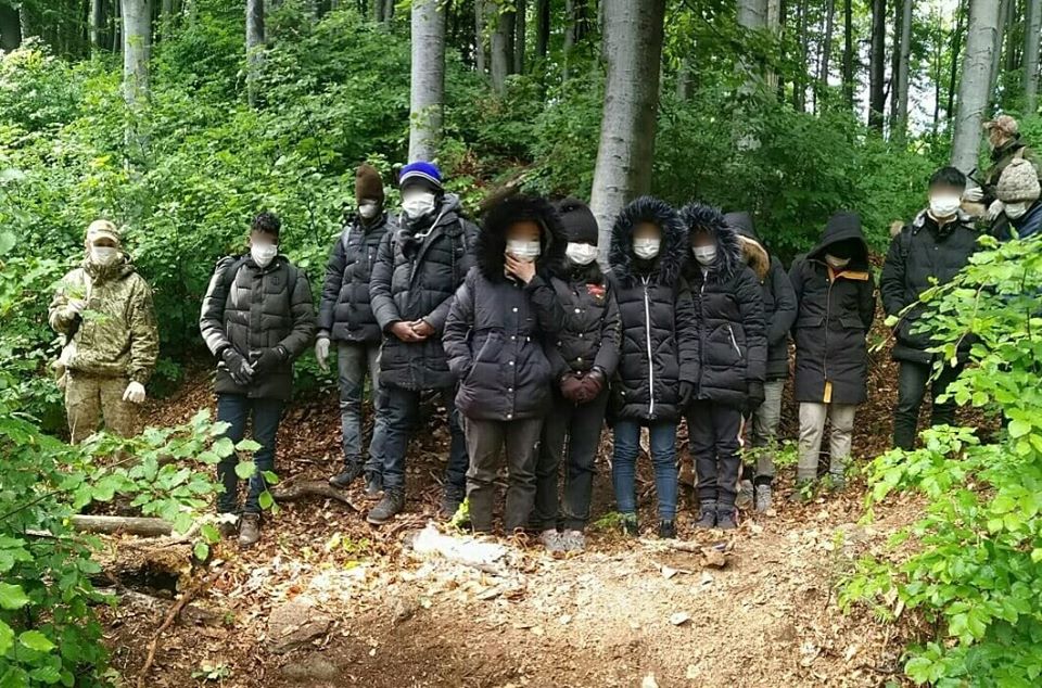 Нелегалы скрывались в лесу неподалеку от населенного пункта Каменица Ужгородского района.