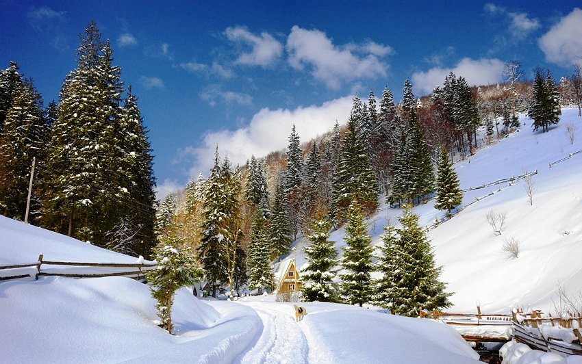 Закарпатський обласний центр з гідрометеорології інформує, що  19 січня 2017 року