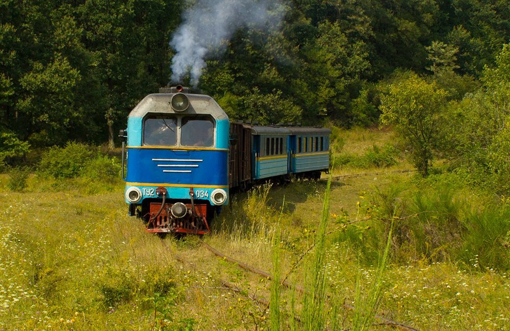 Наступного місяця на Закарпатті відзначать річницю Боржавської вузькоколійки