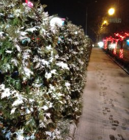 Сьогодні ввечері ужгородців та гостей міста порадував перший сніг. 