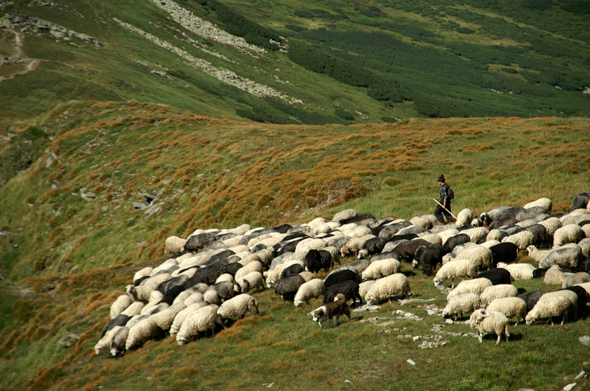 На Синевирському перевалі, що в Закарпатській області, в неділю, 9 червня, відбудеться традиційне народне свято 