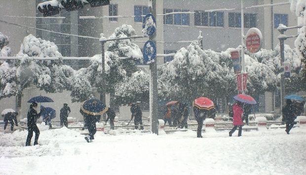 На заході України 3 лютого очікується дуже сильний мокрий сніг та хуртовини.
