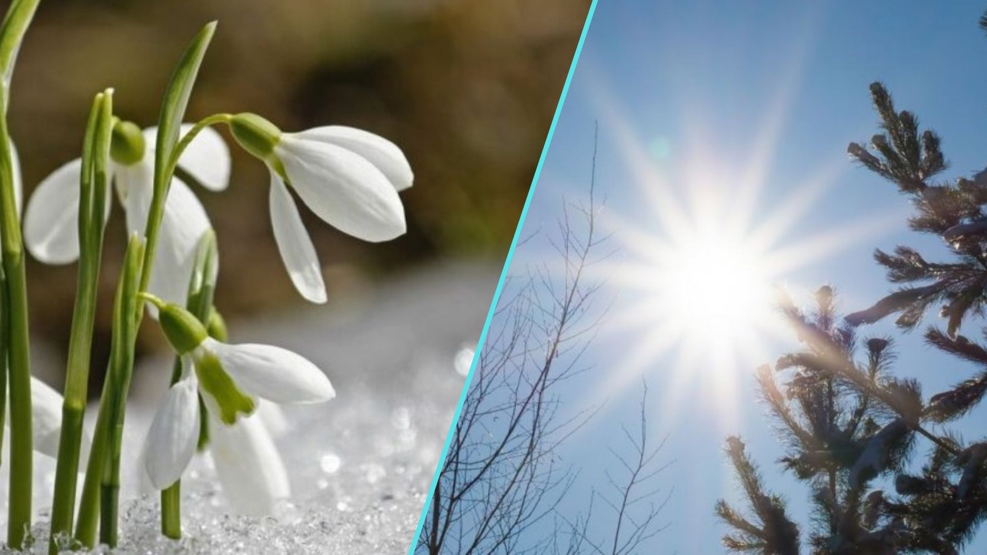 В Україні зміниться погода — цього тижня очікується потепління.