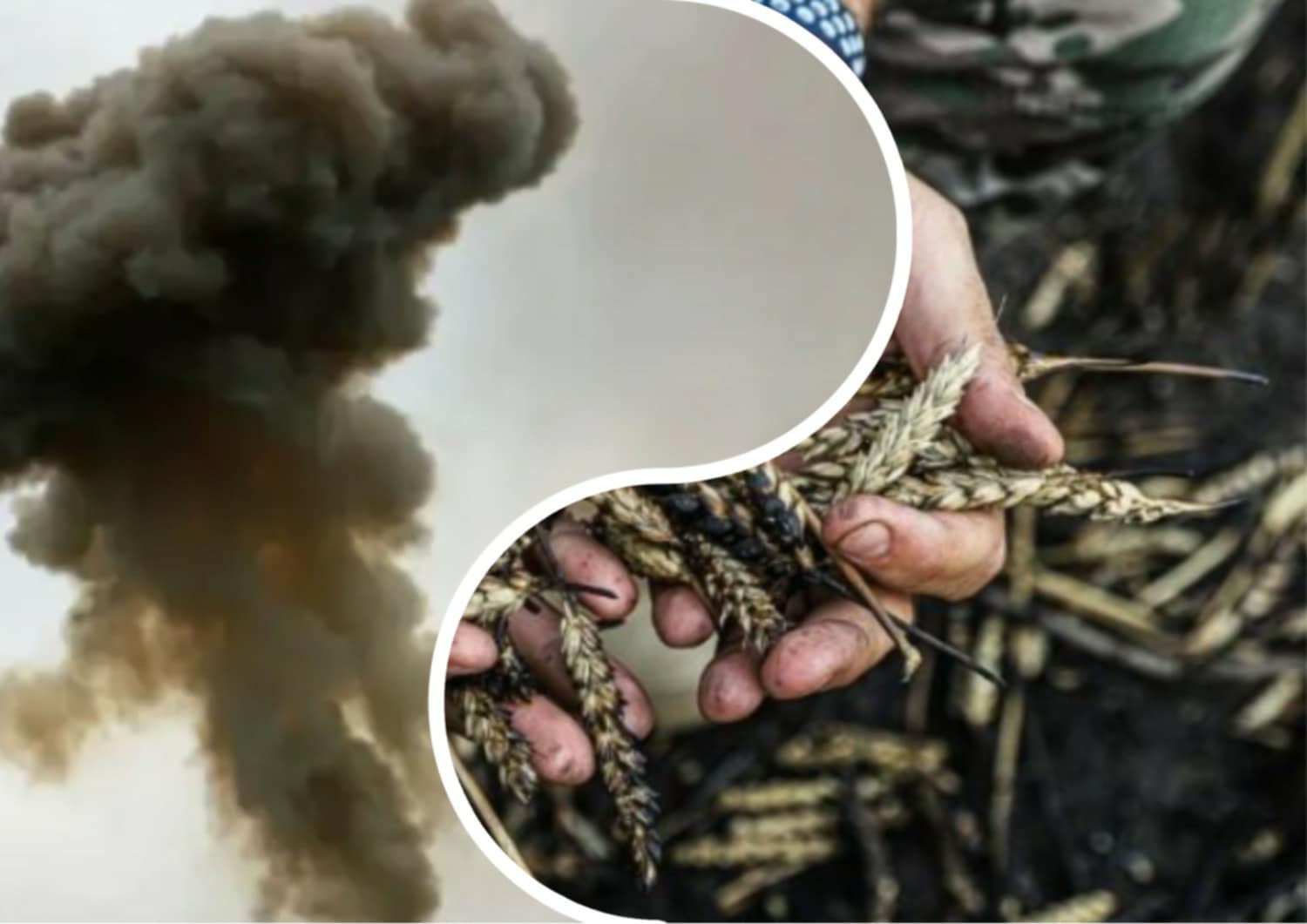 В Україні вже забили на сполох: масштабна загроза очікує ряд регіонів