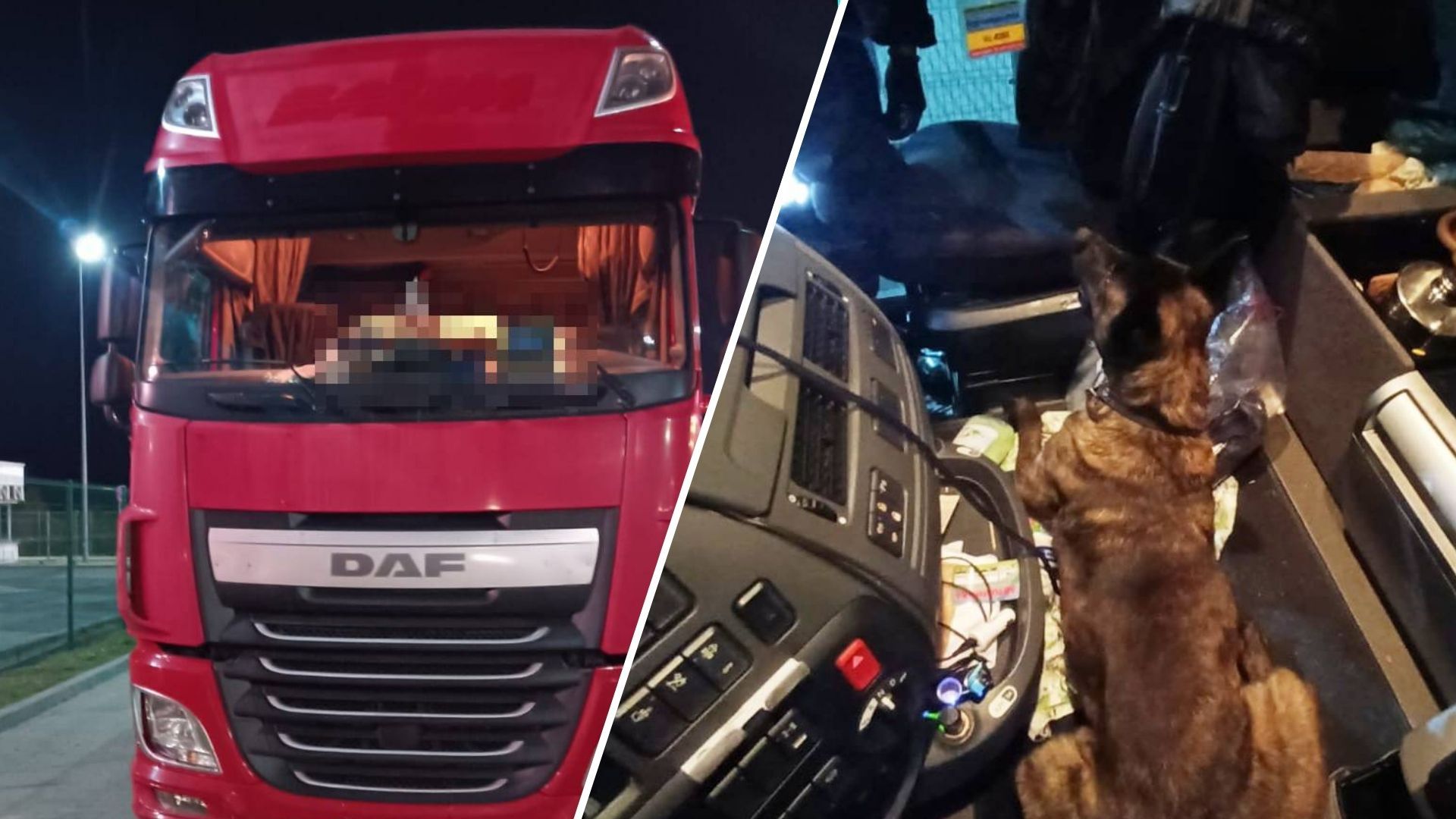 Border guards found an unusual find in two drivers: details of events (PHOTOS)