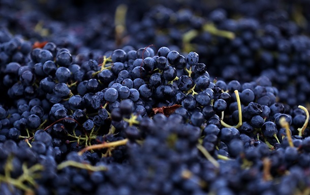 Професійне свято працівників виноградно-виноробної галузі відзначатимуть у другу неділю листопада.
