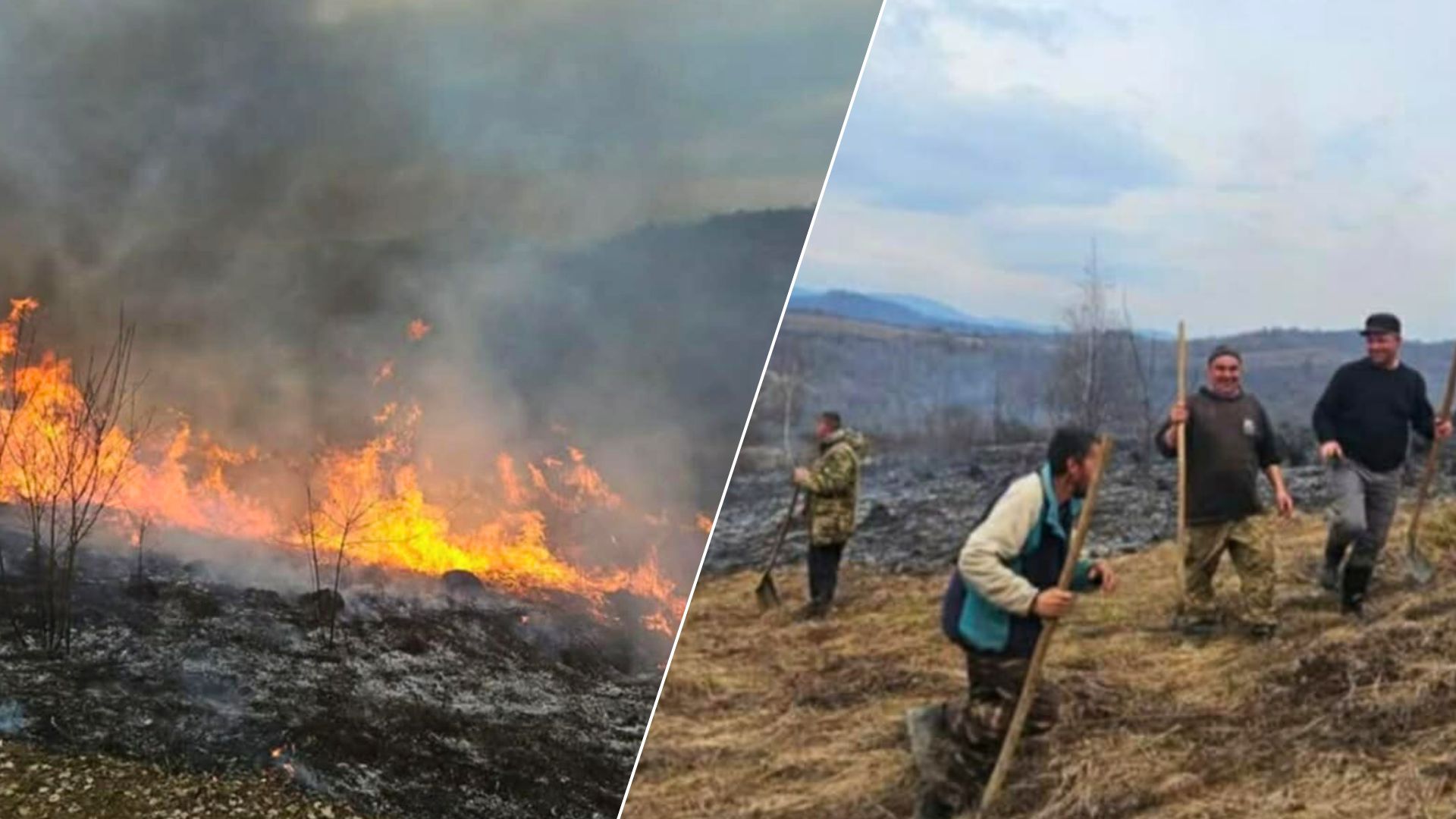 Фазани вилітали із криком, горіло все і потужно: одна з громад Закарпаття пройшла всі жахи в одну мить (ФОТОФАКТ)