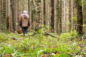 Пожилая женщина заблудилась в лесу вблизи села Свобода Межгорского района.